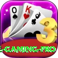 Betjee Game Gaming Pro